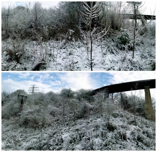 Don Valley Brickworks Scene