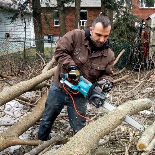 Clean Up Fallen Trees1 - Toronto Ice Storm